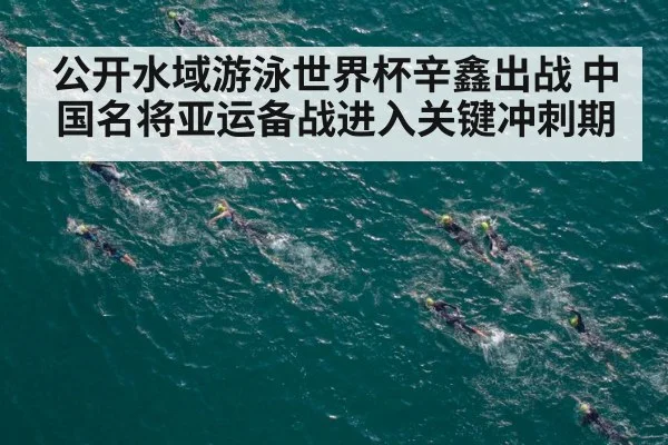 公开水域游泳世界杯辛鑫出战 中国名将亚运备战进入关键冲刺期